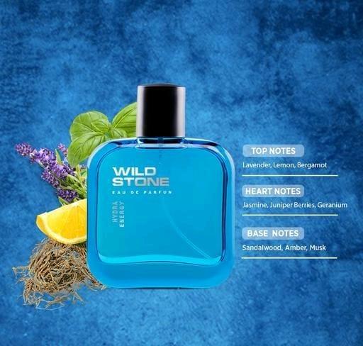 ORIGINAL WILD STONE COOL FOR GENTLEMEN