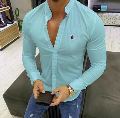 Inspired Allen Solly Basic Shirts ( COPY ).