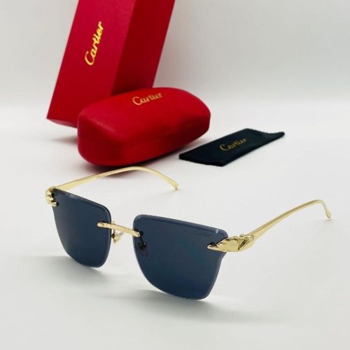 Cartier Sunglass For Unisex Model ( Him / Her ).